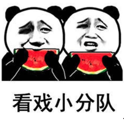 吃瓜娱乐图片表情包,吃瓜表情包带你领略欢乐时光